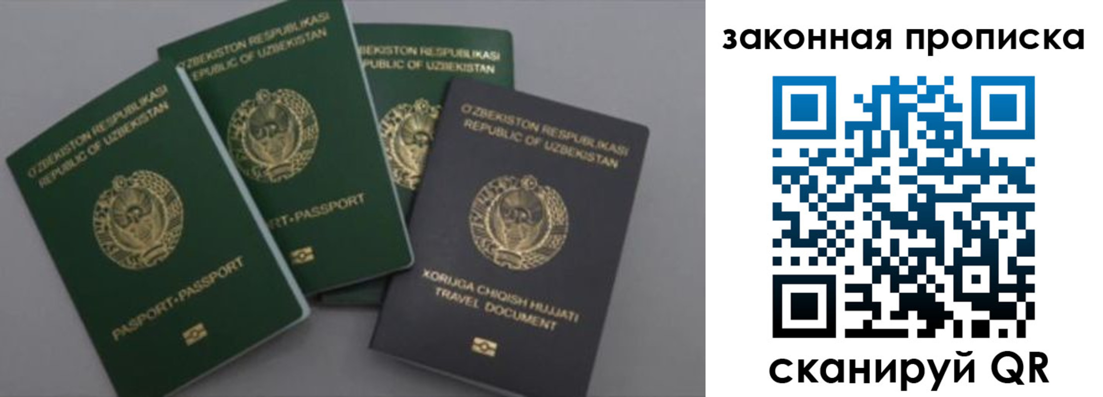 временная регистрация для школы в Кандалакше